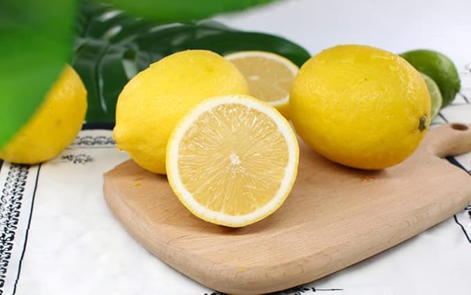 Lemon Tree Citrus limon fruit seeds for planting in home garden or indoor pots