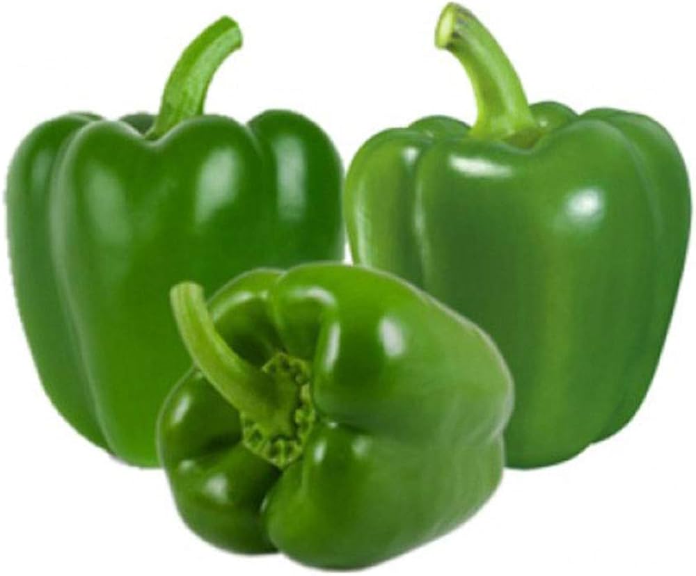 Miracle Sweet Green Pepper Seeds for Planting Capsicum annuum for Edible Garden and Patio Containers