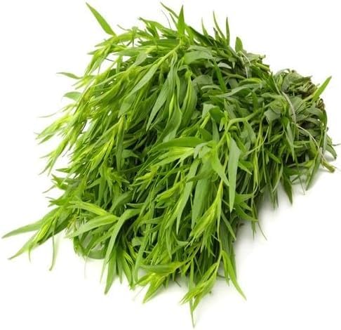 Green Tarragon - Heirloom, Non - Gmo Seeds