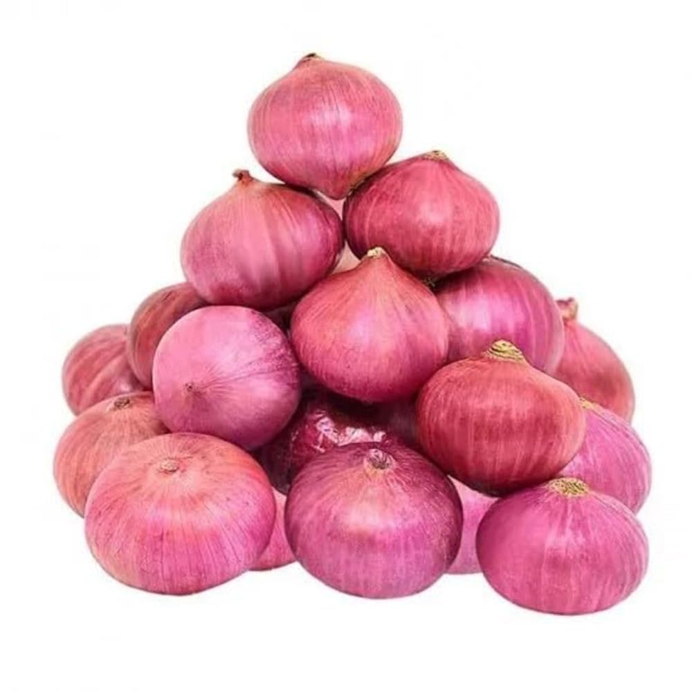 Rare Red Onion Seeds pcs Mini Gardening Courtyard Veg