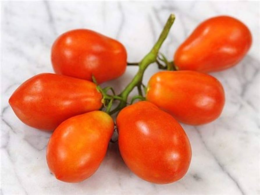 Tomato Solanum Lycopersicum Martino's Roma Vegetable Seeds for Planting – Easy-to-Grow Variety for Sauces and Kitchen Use