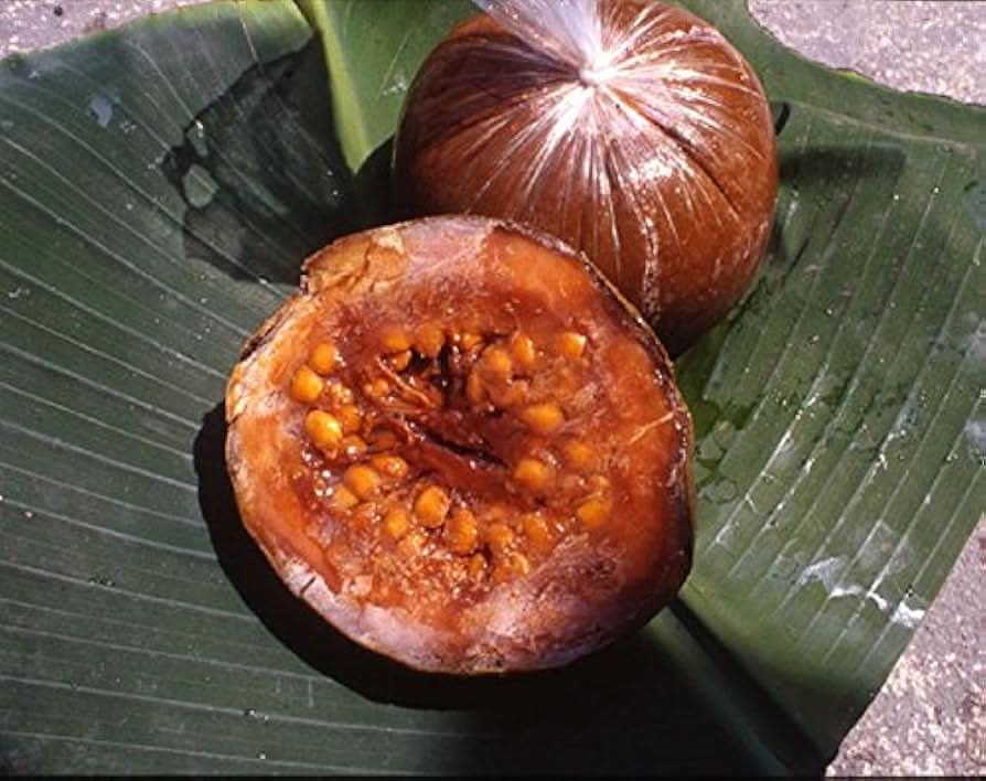 Patinoi Borojoa Seeds for Rare, Exotic Fruit Trees