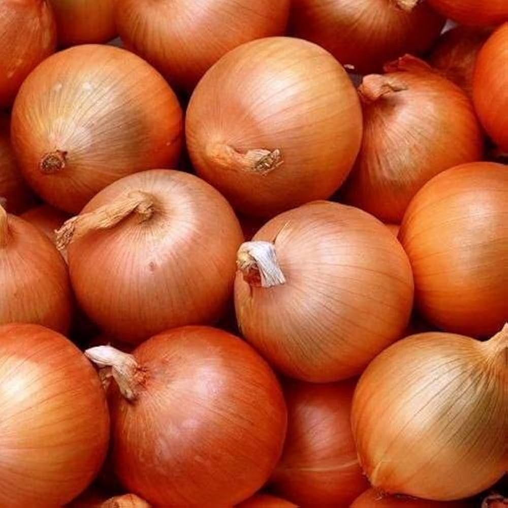 Onion Allium Cepa Yellow Sweet Vegetable Seeds for Planting – Suitable for Kitchen Garden and Culinary Use