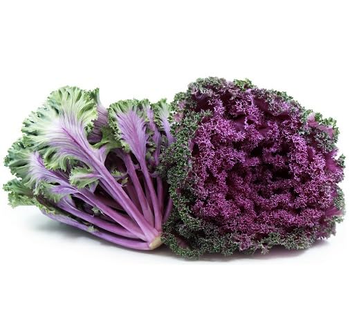 Purple Kale - Heirloom, Non - Gmo Seeds