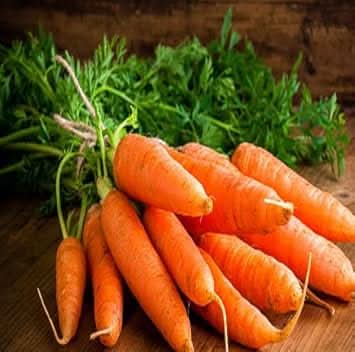 Orange Carrot Seeds for Planting