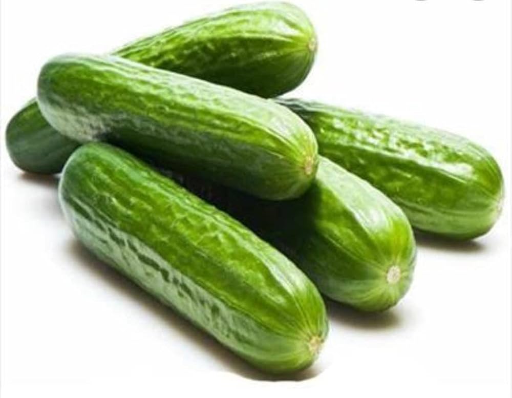 Cucumber Cucumis Sativus Spacemaster Bush Vegetable Seeds for Planting – Compact Variety for Small Spaces and Pots