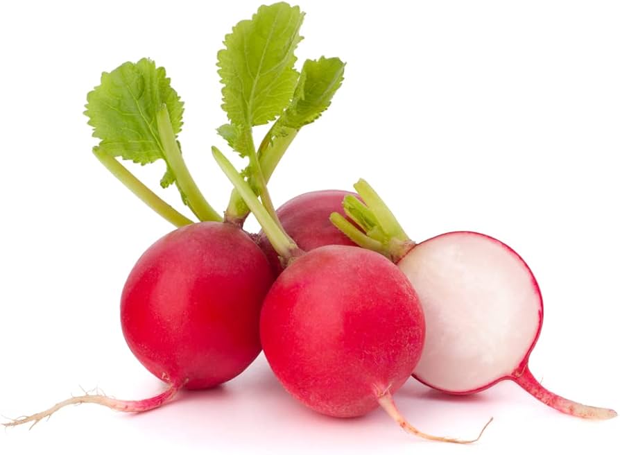 Crimson Giant Radish non-GMO heirloom vegetable