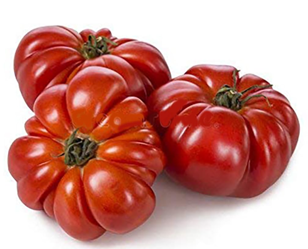 Heirloom Belarusian Herz Tomato - Seeds for Non-GMO, Delicious Tomato Harvests