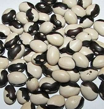 Black White Okra Bean Seeds for Planting heirloom & Non-GMO Seeds
