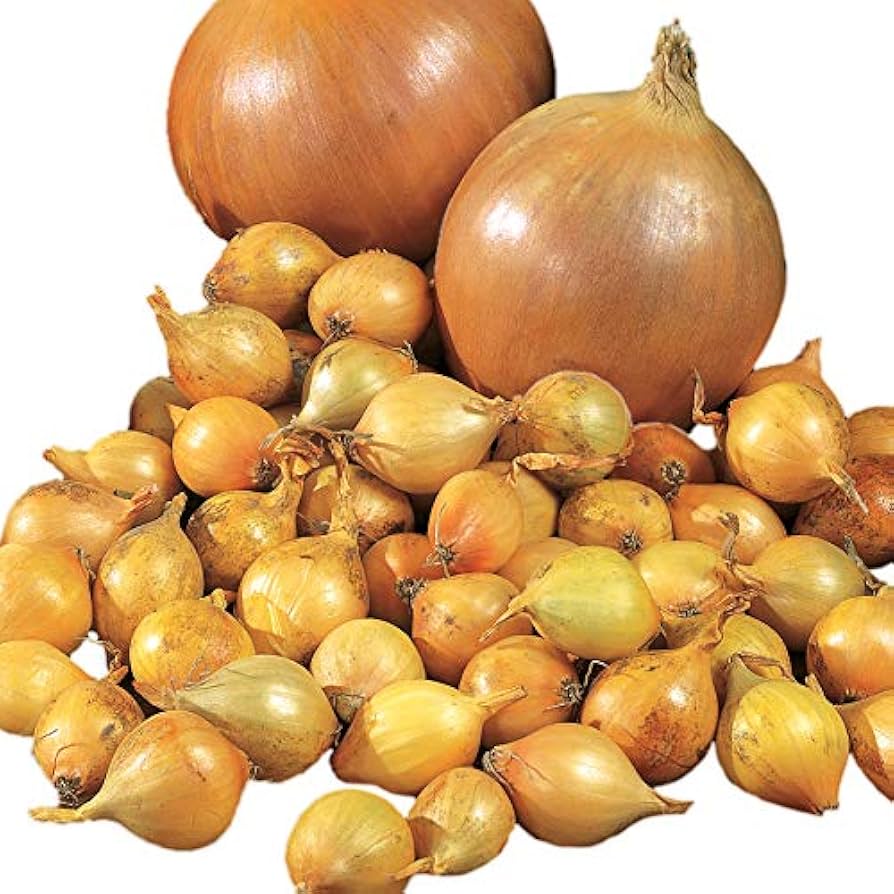 Yellow Granex Hybrid Onion Seeds