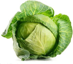 Russian Cabbage Brassica oleracea for planting in vegetable patch