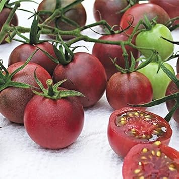 Cherry Tomato Heirloom Non Gmo Image