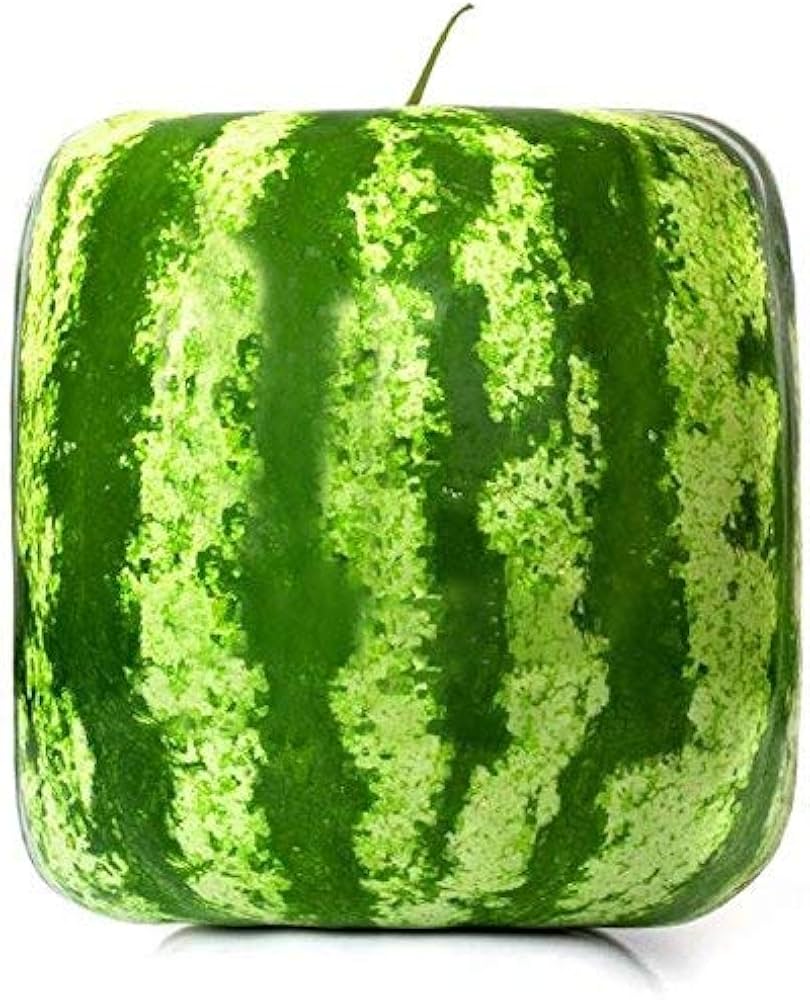 Geometric Square Watermelon Fruit Seeds