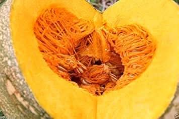 Yellow Jamaican Pumpkin Vegetable Seeds for Planting - heirloom & Non-GMO Seeds