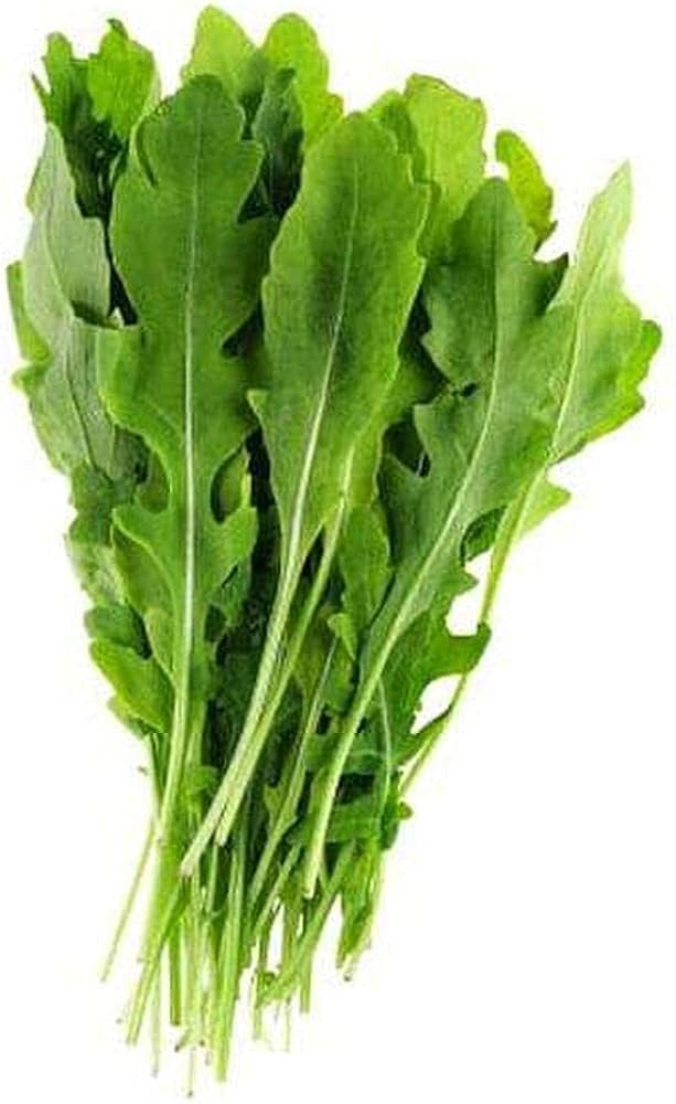 Arugula Eruca Vesicaria Rocket Vegetable Seeds for Planting – Fast-Growing Greens for Kitchen Garden and Salad Use
