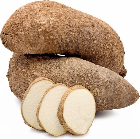 Brown Yam - Heirloom, Non - Gmo Seeds