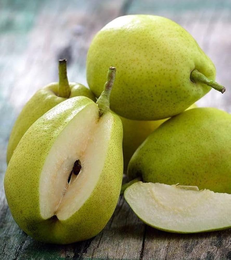 Pear Fruit Seeds Pyrus communis for planting in home garden
