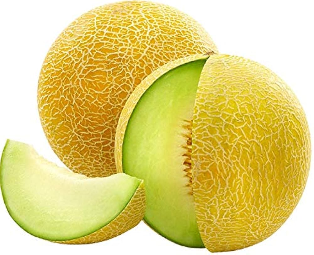 MuskMelon Cucumis melo Fruit Seeds for Planting