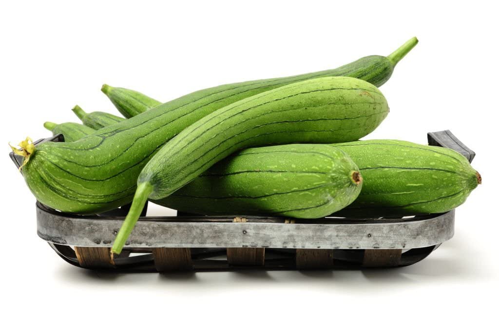Luffa Gourd Seeds | Natural Sponge Luffa Vine Gourds – Heirloom, Non-GMO, High Germination Organic Garden Seeds