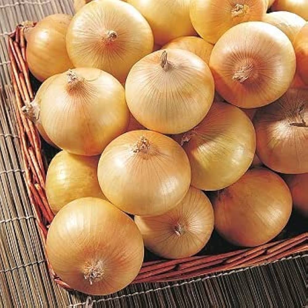 Onion Allium Cepa Yellow Sweet Vegetable Seeds for Planting – Suitable for Kitchen Garden and Culinary Use