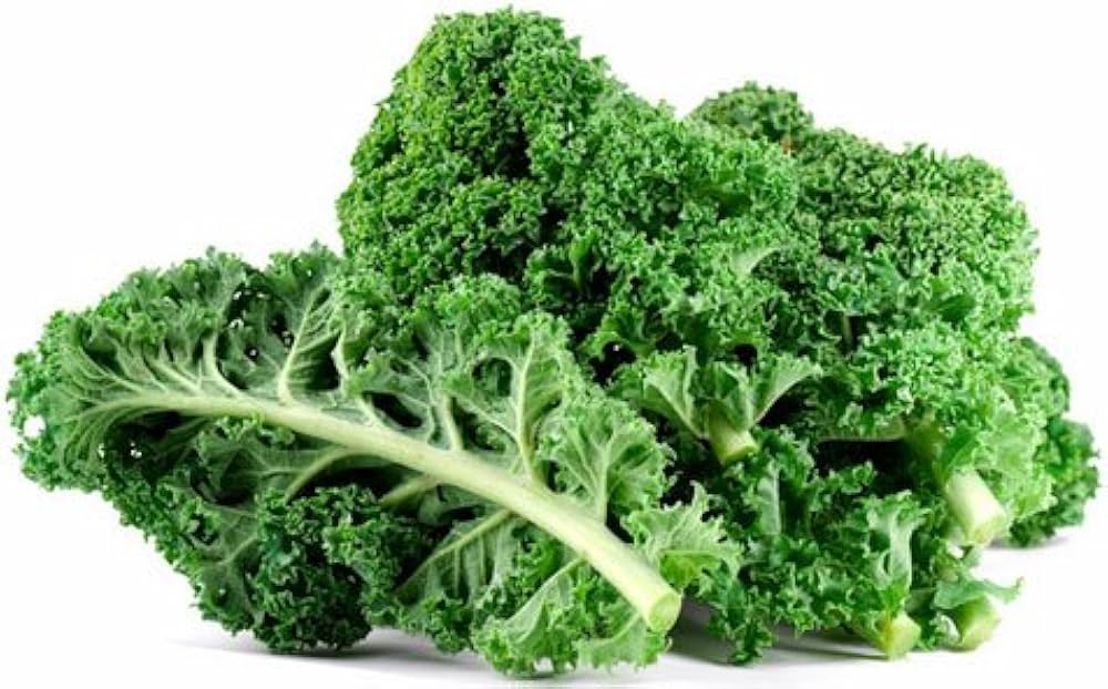 Ethiopian Kale Brassica carinata for planting in vegetable patch