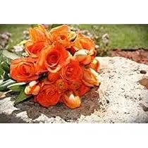Orange Eustoma or LISIANTHUS Flower Seeds for Planting-Heirloom & Non-GMO Seeds for planting Dhara Seeds
