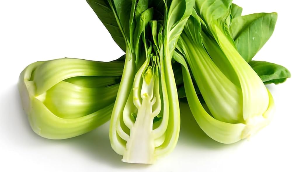 Vegetable Various Species Health Mix Seeds for Planting – Nutritious Vegetable Seeds for Kitchen Garden and Fresh Harvest
