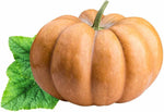 Calabaza Pumpkin Cucurbita Moschata Seeds for planting in edible garden