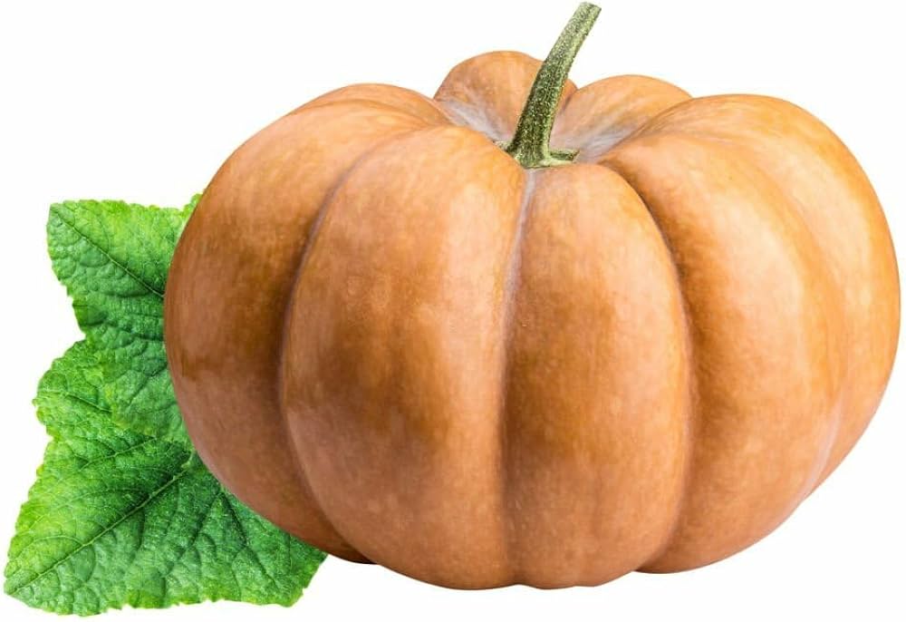 Calabaza Pumpkin Cucurbita Moschata Seeds for planting in edible garden