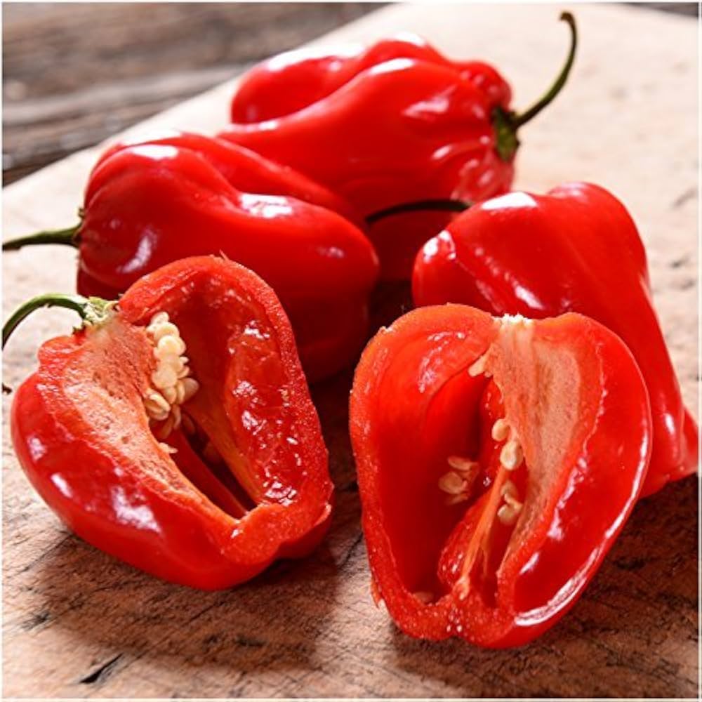 Pepper Capsicum Chinense Antilles Caribbean Vegetable Seeds for Planting – Suitable for Kitchen Garden and Tropical Flavors