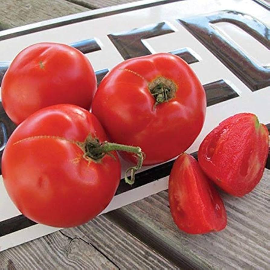 Tomato Solanum Lycopersicum Tasti-Lee VFFF Hybrid Vegetable Seeds for Planting – Mid-Season Variety for Disease-Resistant Yields