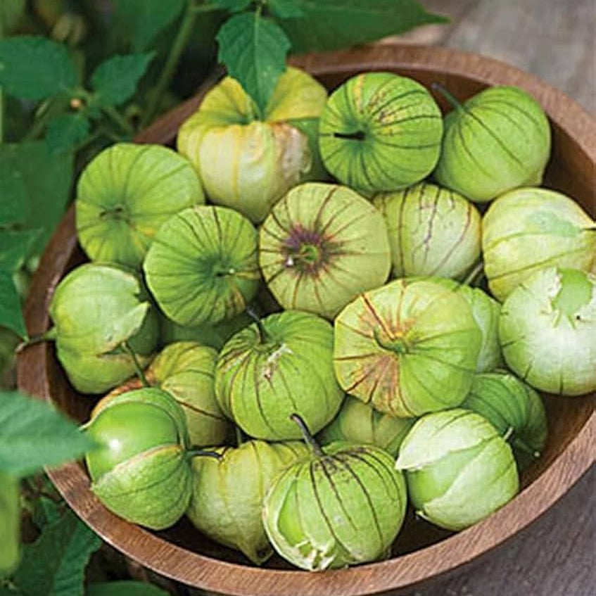 Tomatillo Vegetable Seeds for Planting