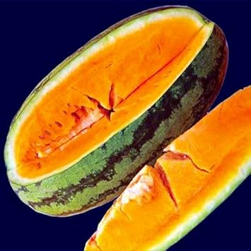 Orange Watermelon Fruit Heirloom Non Gmo Image