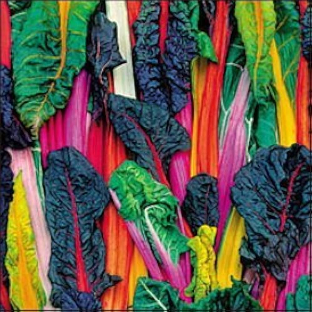Bright Lights Rainbow Chard Seeds Organic