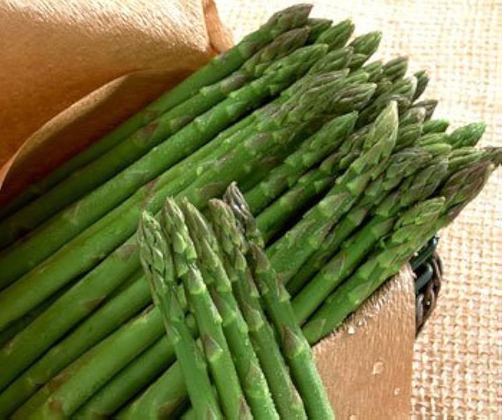 Asparagus Plant Seeds for Planting vegetable patch
