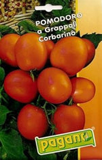 Orange Grape Tomato Heirloom Non Gmo Image