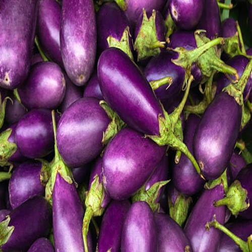 Purple Eggplant - Heirloom, Non - Gmo Seeds