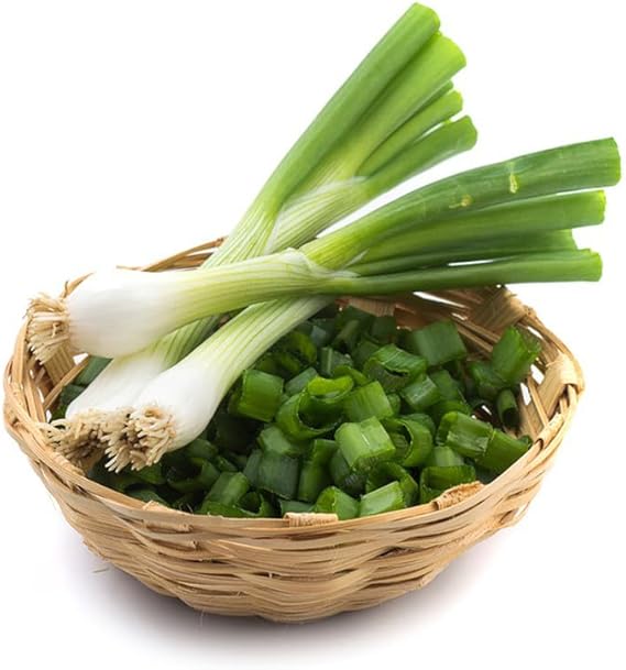 Chinese Chive Allium tuberosum Seeds for Planting in Herb Garden & Urban Garden