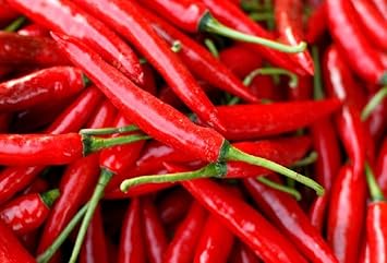 Pepper Heirloom Non Gmo Image