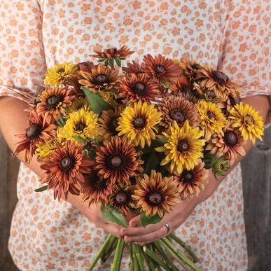 Rudbeckia Autumn Flower Seeds for Planting