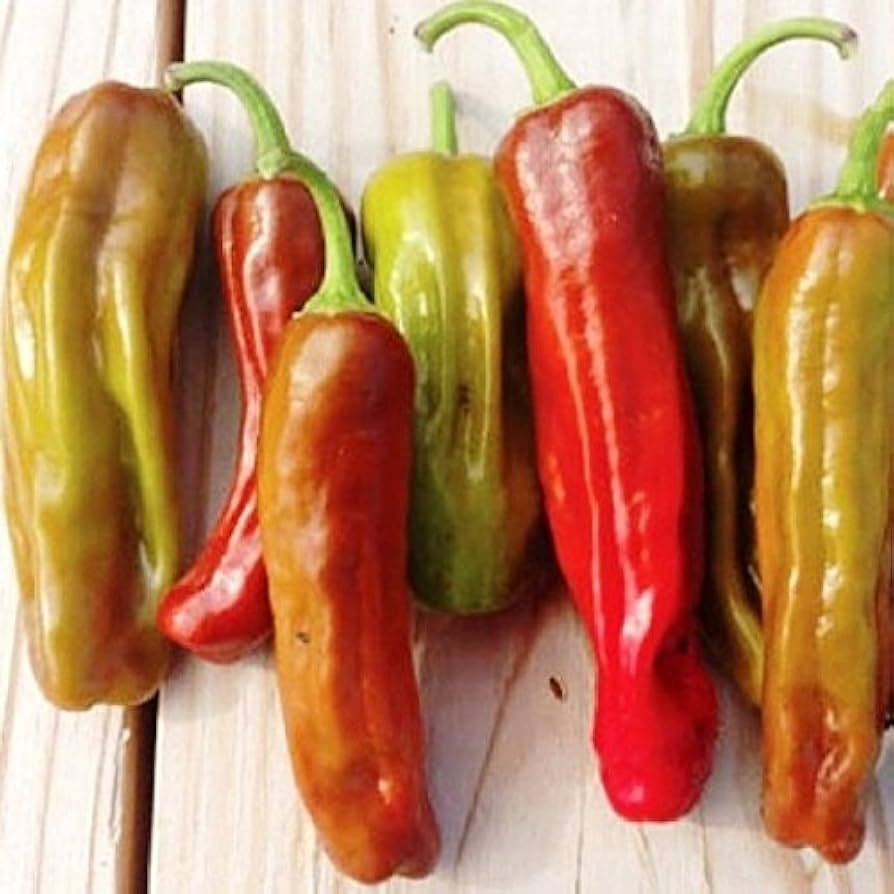 Golden Greek Pepperoncini Capsicum annuum hot pepper seeds for planting in home garden