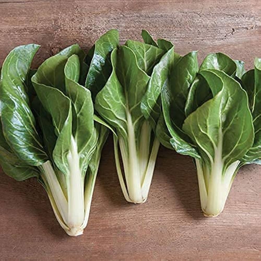 Green White Chard Seeds for Planting