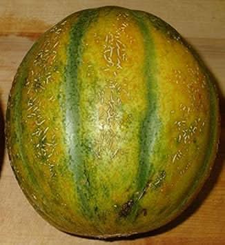 Yellow Cantaloupe Fruit Seeds - Sweet, Orange-Fleshed Cantaloupes for Your Garden