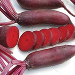 Organic dark red Cylindra beetroot seeds