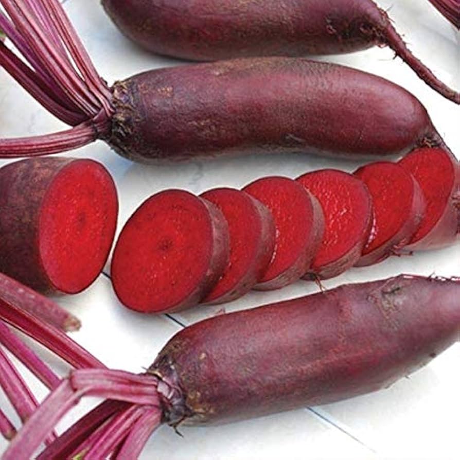 Organic dark red Cylindra beetroot seeds