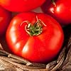 Dinner Plate Organic Beefsteak Tomato Seeds ( )