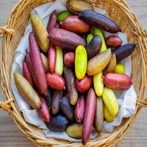 Mixed Finger Lime Fruit - Heirloom, Non - Gmo Seeds