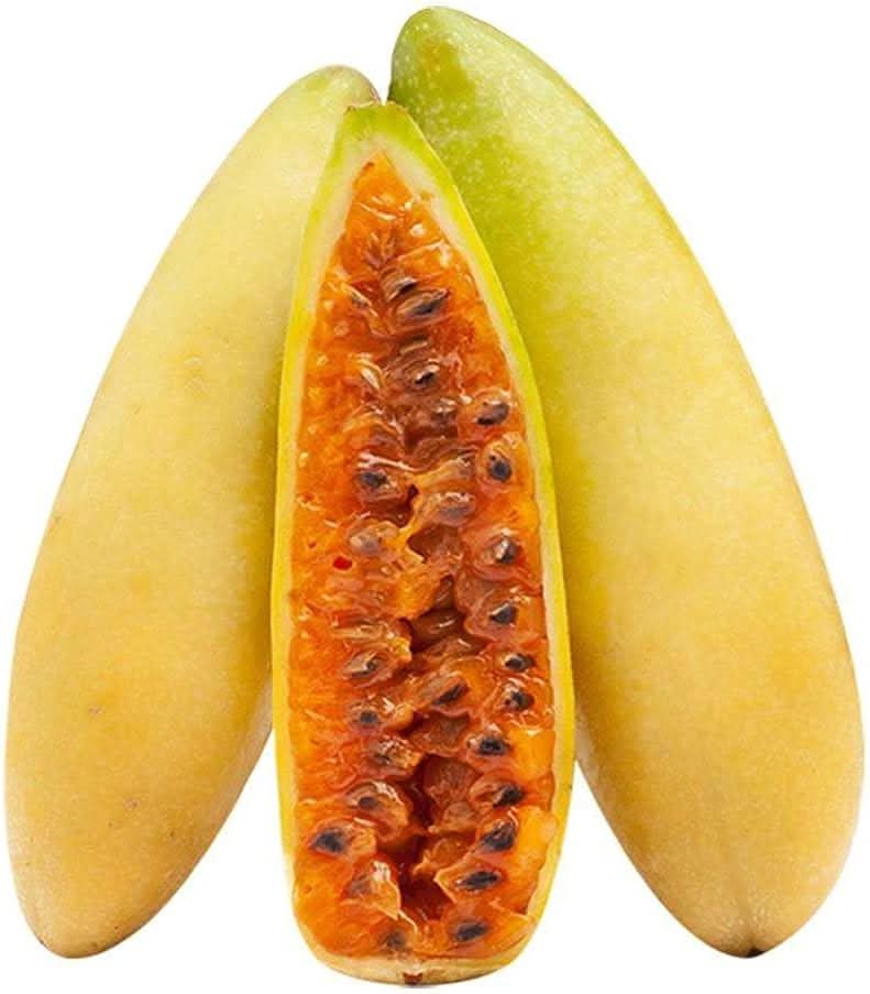 Banana Passion Fruit Seeds for Planting- High-Quality, Non-GMO for Fruit Gardens