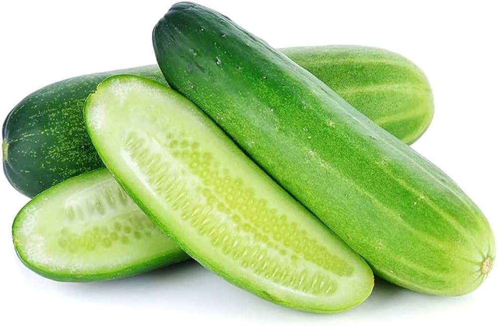 Cucumber Cucumis sativus vegetable seeds for kitchen garden planting