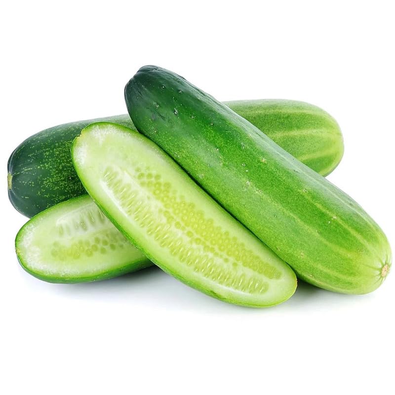 Cucumber Cucumis Sativus Khasbulat F1 Vegetable Seeds for Planting – Ideal for Kitchen Garden and Vertical Growing